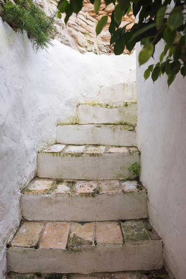 ベヘール・デ・ラ・フロンテーラ Casa Lujan - Califa Casas Vejerヴィラ エクステリア 写真